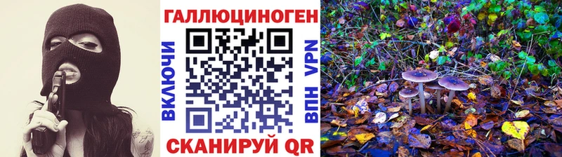 Галлюциногенные грибы мицелий  где можно купить наркотик  Гаврилов-Ям 